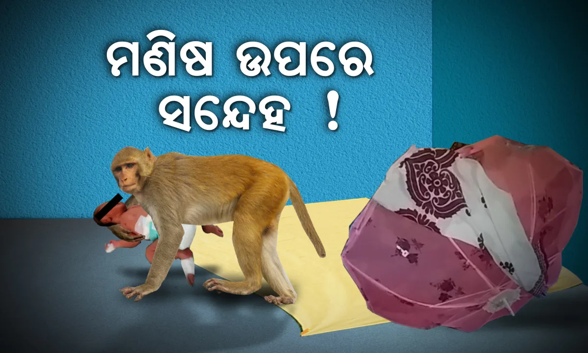  ମାଙ୍କଡ ନୁହେଁ ମଣିଷ ଉପରକୁ ଆସିଲା ପୋଲିସର ସନ୍ଦେହ ! ଆବଶ୍ୟକ ପଡିଲେ ପରିବାର ଲୋକଙ୍କୁ ତଦନ୍ତ ପରିସରଭୁକ୍ତ କରାଯିବ