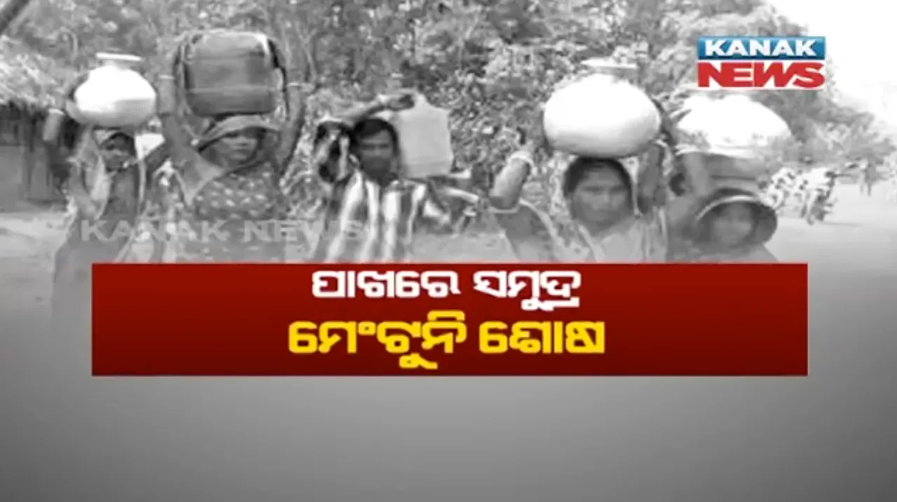  ରାତି ପାହିଲେ ପାଣି ଚିନ୍ତା ! ପାନୀୟ ଜଳ ପାଇଁ ହନ୍ତସନ୍ତ ଜଗତସିଂହପୁର ଜିଲ୍ଲାର ସମୁଦ୍ର କୂଳିଆ ଗ୍ରାମବାସୀ