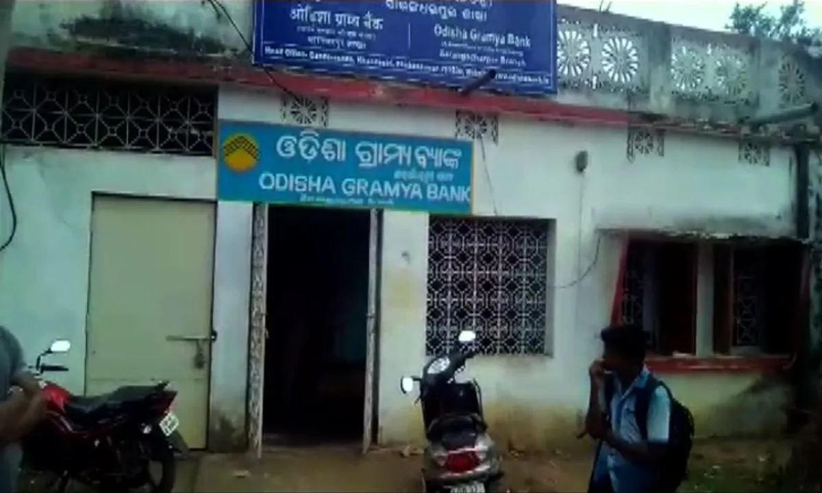  ନୟାଗଡ ଗ୍ରାମ୍ୟ ବ୍ୟାଙ୍କରୁ ୨୬୬ ପ୍ୟାକେଟ ସୁନା ଲୁଟି ନେଲେ ଲୁଟେରା ! ସୁରାକ ପାଉନି ପୋଲିସ