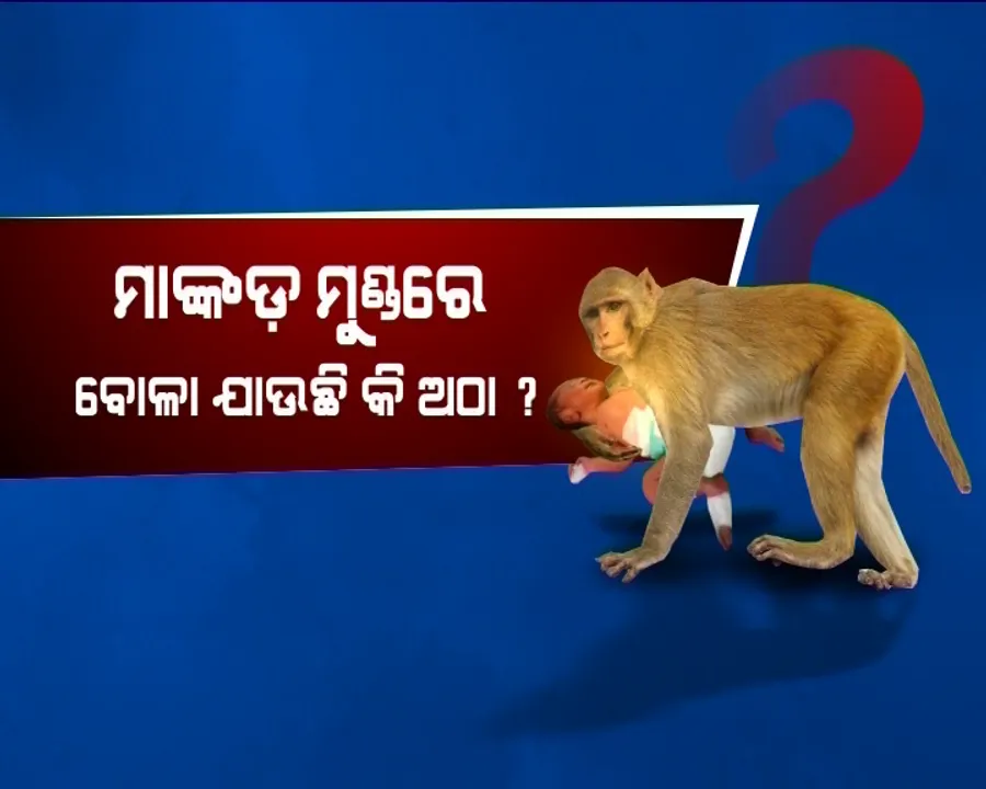  ୧୫ ଦିନର ଶିଶୁକୁ କିଏ ମାରିଛି । ପୋଷ୍ଟମର୍ଟମ ରିପୋର୍ଟରେ ଆସିଲା ସଂଘାତିକ ତଥ୍ୟ, ଦୋଷ ଲୁଚାଇବା ପାଇଁ ମାଙ୍କଡ ମୁଣ୍ଡରେ ବୋଳାଯାଉଛି କି ଅଠା ?