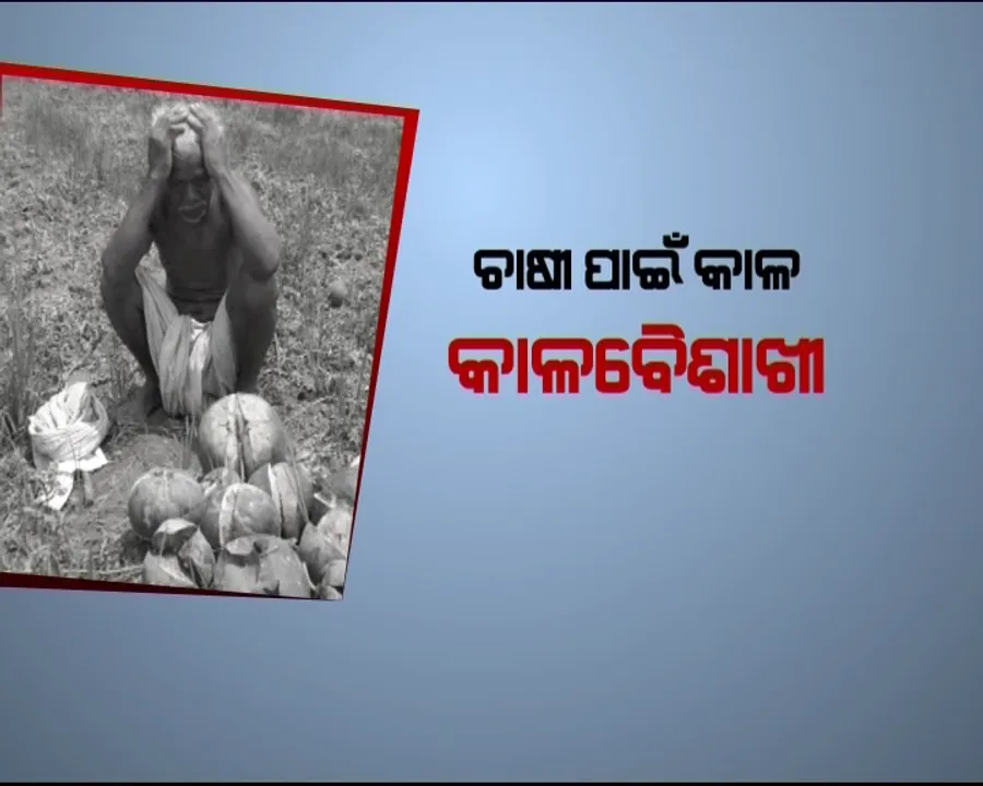  ଚାଷୀଙ୍କୁ କାଳ କାଳବୈଶାଖୀ ! ଅଦିନିଆ ବର୍ଷାରେ ସାରା ରାଜ୍ୟରେ ଉଜୁଡି ଯାଇଛି ଫସଲ, କେଉଁଠି ଜମିରେ ଗଡୁଛି ଫଟା ତରଭୁଜ ତ ପୁଣି କେଉଁଠି ନଷ୍ଟ ହୋଇଛି ଧାନ