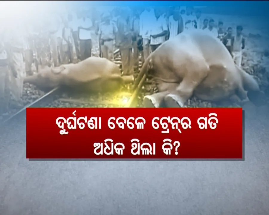  ଝାରୁସୁଗୁଡାରେ ରେଳ ଧକ୍କାରେ କଟିଗଲେ ୪ ହାତୀ ! ରେଳ ଧାରଣା ପାର ହେବାବେଳେ ଧକ୍କା ଦେଲା ମୁମ୍ବାଇ-ହାୱଡା ମେଲ, ରେଳବାଇ ଓ ବନ ବିଭାଗର ବେପରୁଆ ମନୋଭାବକୁ ନେଇ ଉଠିଲା ପ୍ରଶ୍ନ
