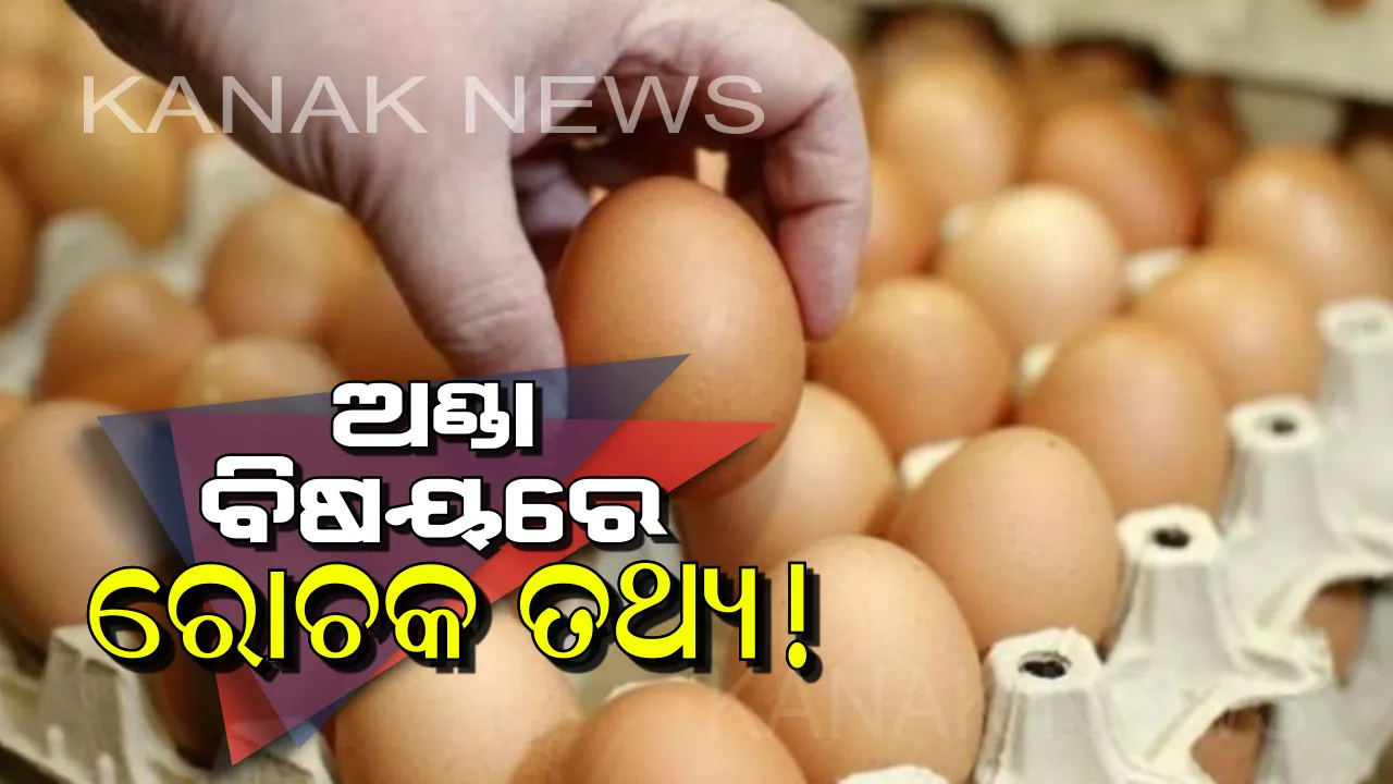  ଅଣ୍ଡା ବାହାରୁ ଶକ୍ତ ଏବଂ ଭିତରୁ କାହିଁକି ନରମ ହୋଇଥାଏ? ଆସନ୍ତୁ ଜାଣିବା ଏହାର ବୈଜ୍ଞାନିକ କାରଣ ବିଷୟରେ । 