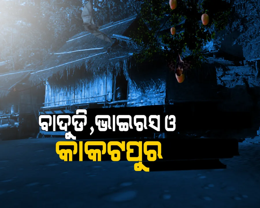  ଆତଙ୍କ ଖେଳାଉଛି ନିପା ଭାଇରସ ! କିନ୍ତୁ ଓଡ଼ିଶାର ରହିଛି ଏମିତି ଏକ ଗାଁ, ଯେଉଁଠି ବାଦୁଡ଼ିଙ୍କ ମେଳରେ ମଣିଷ କାଟୁଛନ୍ତି ଜୀବନ