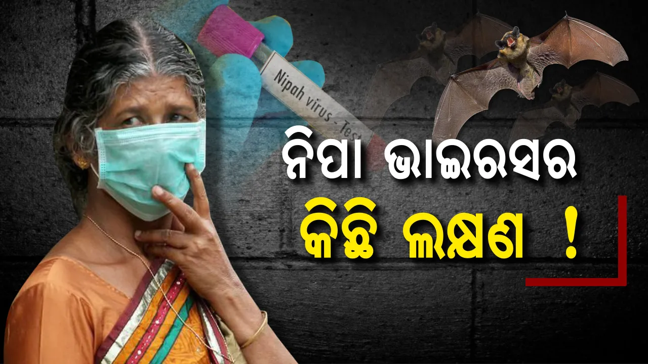 ସାଂଘାତିକ ରୂପ ନେଲାଣି ନିପା ଭାଇରସ ! ରକ୍ଷା ପାଇବା ପାଇଁ ଆପଣାନ୍ତୁ କିଛି ଜରୁରୀ ଟିପ୍ସ, ଦୁଇ ଦିନରୁ ଅଧିକ ଜ୍ୱର ରହିଲେ ଡାକ୍ତର ଦେଖାଇବାକୁ ଭୁଲନ୍ତୁ ନାହିଁ