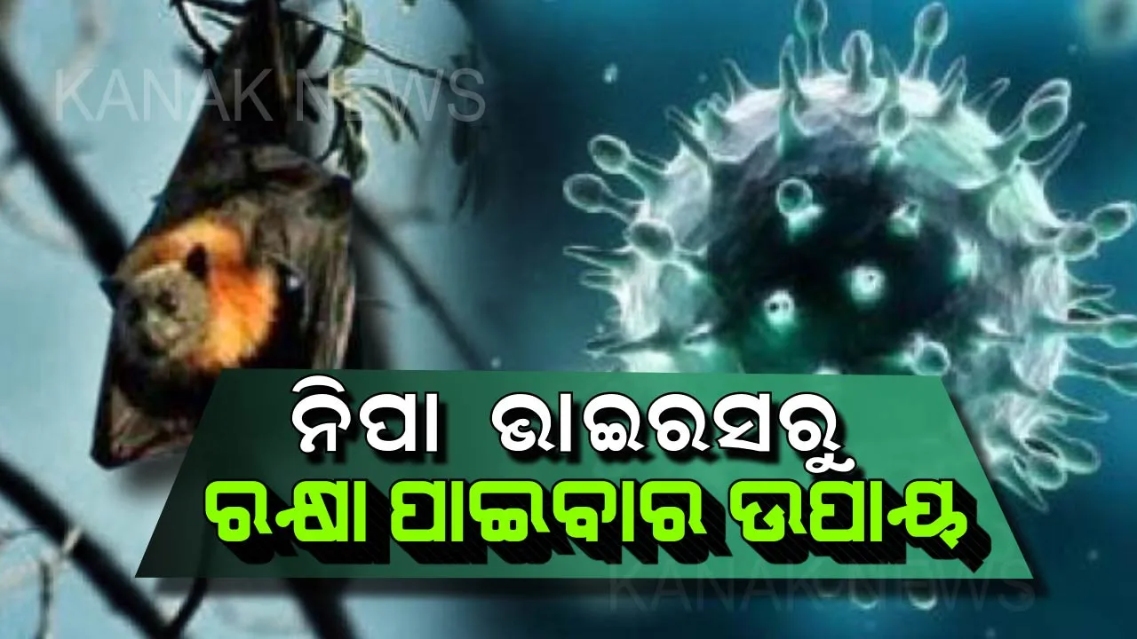  ଭୟଙ୍କର ରୂପ ନେଲାଣୀ ନିପା ଆଇରସ୍ ! ରକ୍ଷା ପାଇବାର ନାହିଁ କୌଣସି ବି ବିକଳ୍ପ, ଏହି ୫ଟି ସତର୍କତା ଅବଲମ୍ବନ କରି ରୁହନ୍ତୁ ସୁରକ୍ଷିତ