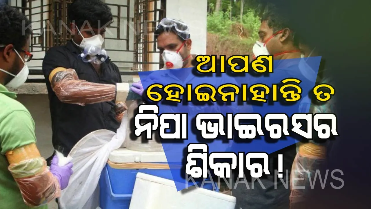  ଆପଣ ହୋଇନାହାନ୍ତି ତ ନିପା ଭାଇରସର ଶିକାର !  ଏହି ଲକ୍ଷଣରୁ ଜାଣନ୍ତୁ ଆପଣଙ୍କ ଶରୀରରେ ନାହିଁ ତ ଏହି ଭାଇରସ୍ ।