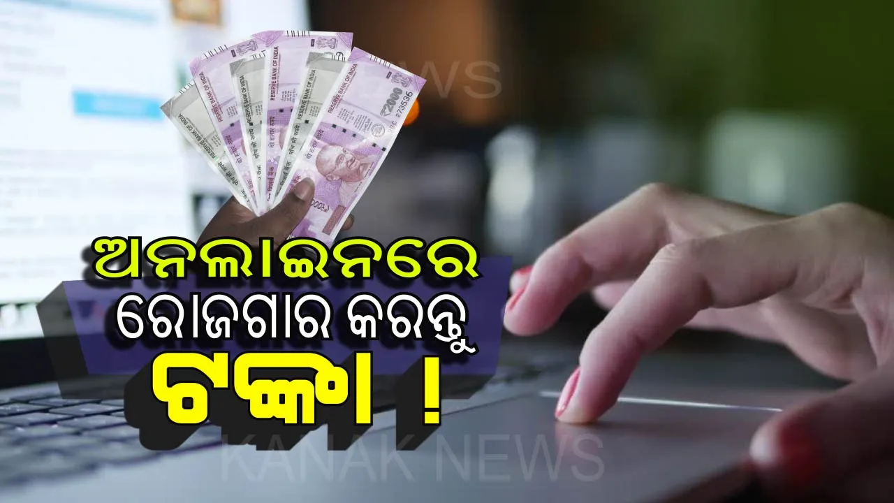  ନାଁ ଟଙ୍କା ଦରକାର ନାଁ ଯିବାକୁ ପଡ଼ିବ ଅଫିସ୍ . . . . ଘରେ ବସି ବସି ଅନଲାଇନରେ ରୋଜଗାର କରିପାରିବେ ଟଙ୍କା