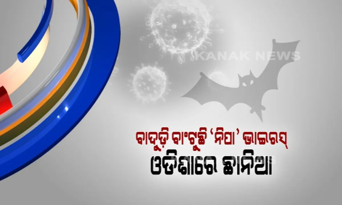  କେରଳ ପରେ ନିପା ଭାଇରସକୁ ନେଇ ସତର୍କ କଲେ ଓଡିଶା ସରକାର ! ୩ ଜଣିଆ ଟିମ୍ ପ୍ରସ୍ତୁତ କରି ନଜର ରଖିବାକୁ ନିର୍ଦ୍ଦେଶ ଦେଲା ସ୍ୱାସ୍ଥ୍ୟ ବିଭାଗ