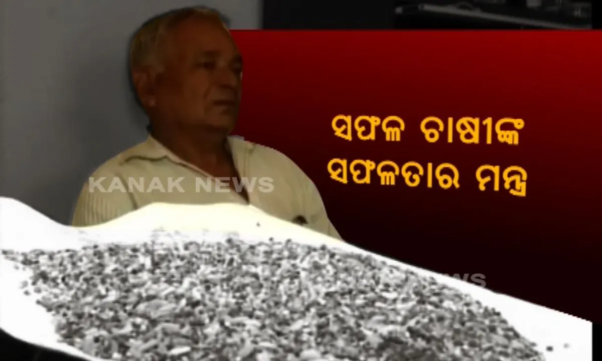  କୋରାପୁଟ ମାର୍କେଟରେ ସୁଗର ଫ୍ରି ଚାଉଳ ! ଜୈବିକ ପଦ୍ଧତିରେ ଚାଷ କରି ଉଦାହରଣ ସୃଷ୍ଟି କଲେ କୋରାପୁରଟ ସଫଳ ଚାଷୀ ନିତ୍ୟାନନ୍ଦ