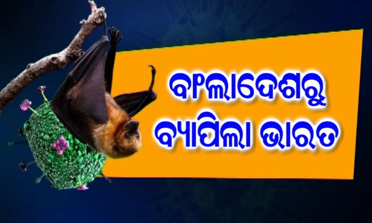  ବାଂଲାଦେଶରୁ ଆସିଛି ଘାତକ ନିପା ଭାଇରସ । ଏନଆଇଭିବି ବାଂଲାଦେଶରୁ ସଂକ୍ରମଣ ହୋଇଥିବା ନେଇ ବୈଜ୍ଞାନିକଙ୍କ ସ୍ପଷ୍ଟିକରଣ ।