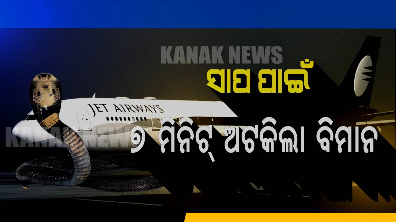  ଭୁବନେଶ୍ୱର ବିମାନ ବନ୍ଦରରେ ନାଗ ସାପ ଆତଙ୍କ । ସାପ ପାଇଁ ୭ ମିନିଟ ଅଟକିଲା ଭିସ୍ତାରା ଏୟାରଲାଇନ୍ସ ବିମାନ