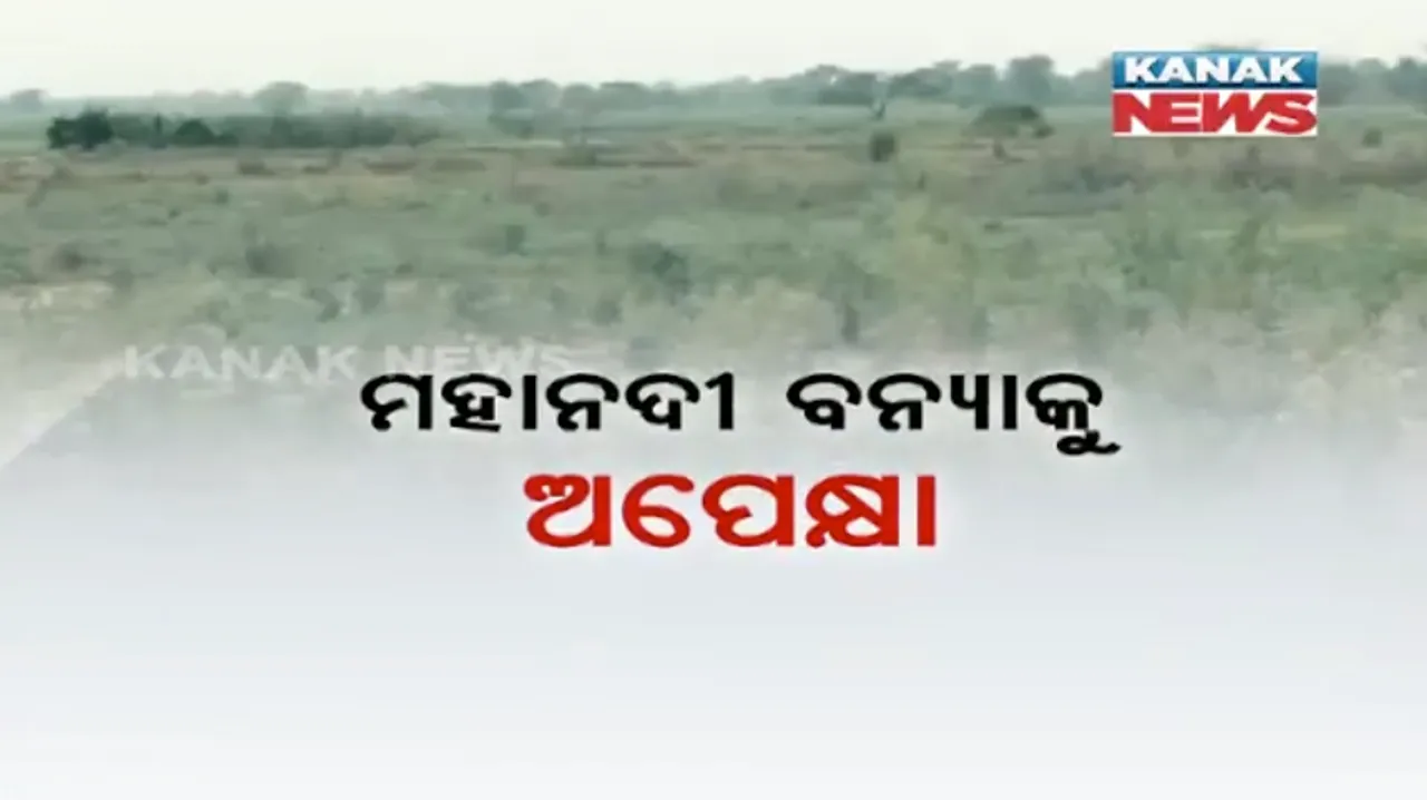  ଦୁଃଖ ଦେଉଛି ଶୁଖିଲା ମହାନାଦୀ : ପାଣି ଅଭାବରୁ ପଡିଆ ପଡିଛି ଜମି