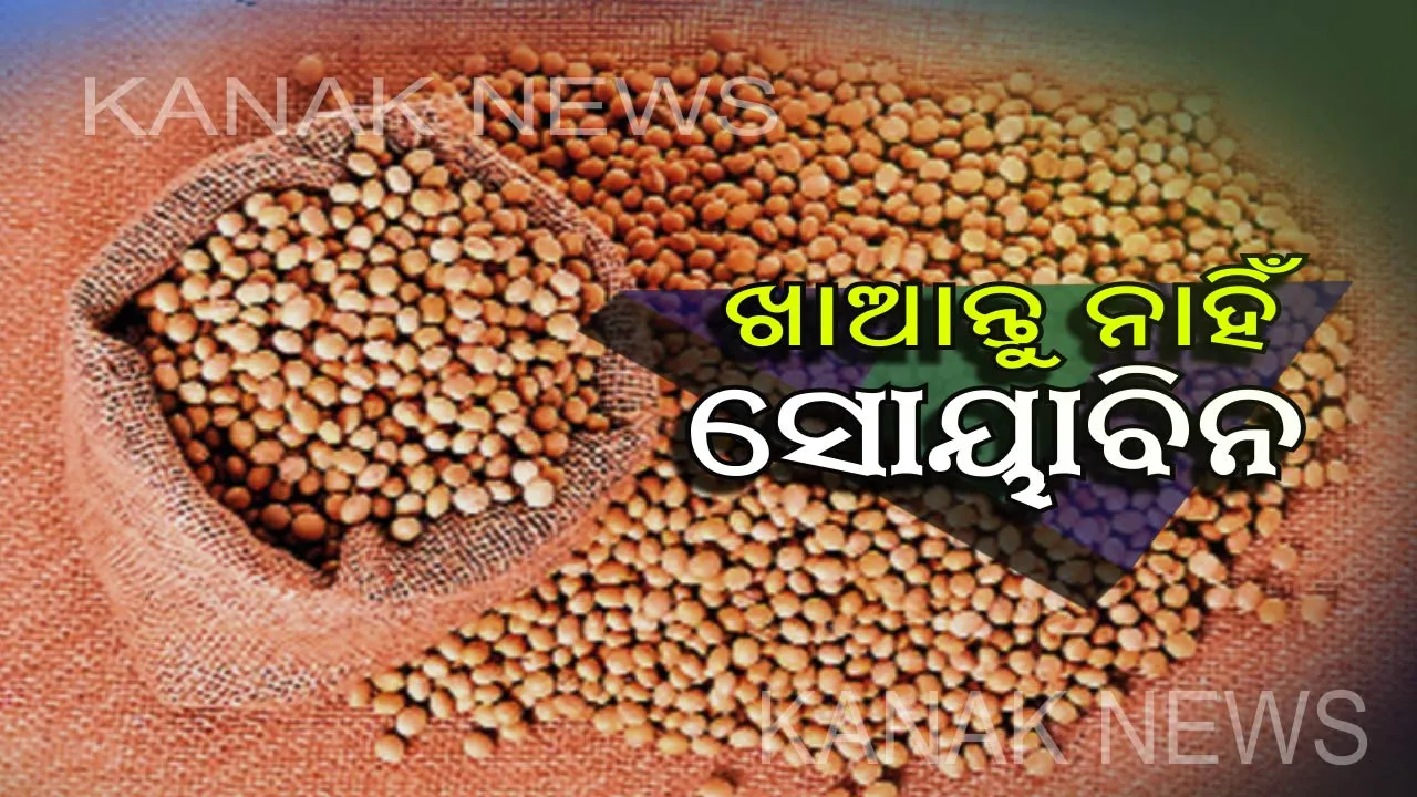  ଭୁଲରେ ବି ଏହି ୭ଟି ହେଲଥ କଣ୍ଡିସନରେ ଖାଆନ୍ତୁ ନାହିଁ ସୋୟାବିନ । ଚାଲିଯାଇପାରେ ଆପଣଙ୍କ ଜୀବନ