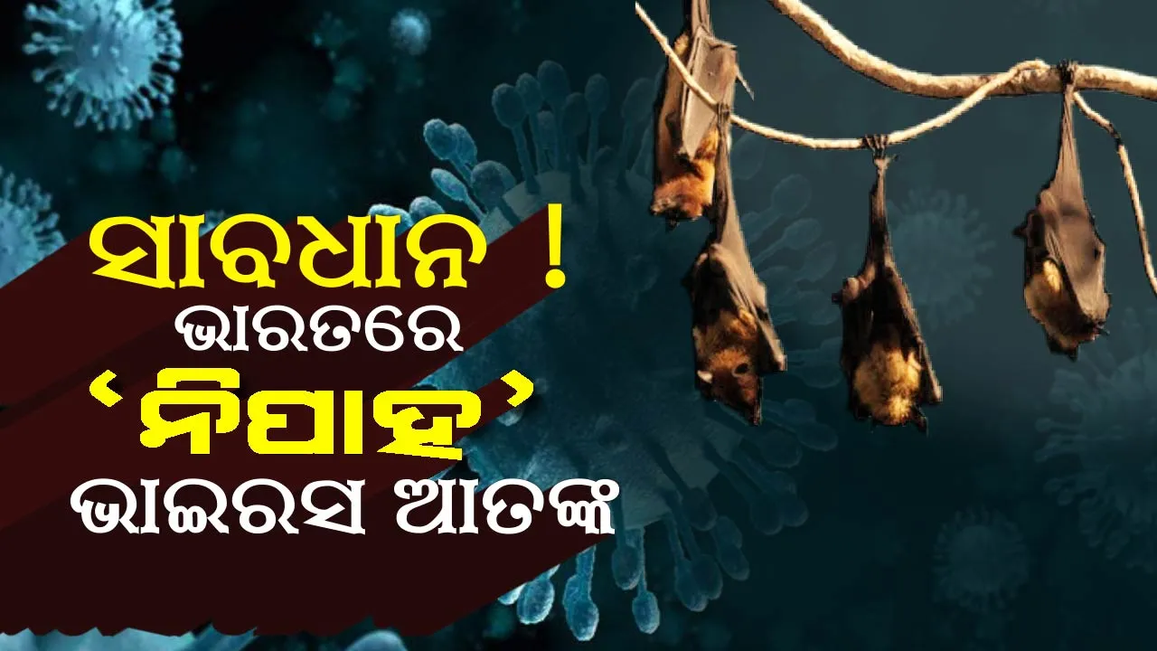  ସାବଧାନ ! ଭାରତରେ ବ୍ୟାପୁଛି ଭୟଙ୍କର ନିପାହ ଭାଇରସ, ନିରାକରଣ ପାଇଁ ବାହାରିନି କୌଣସି ଔଷଧ