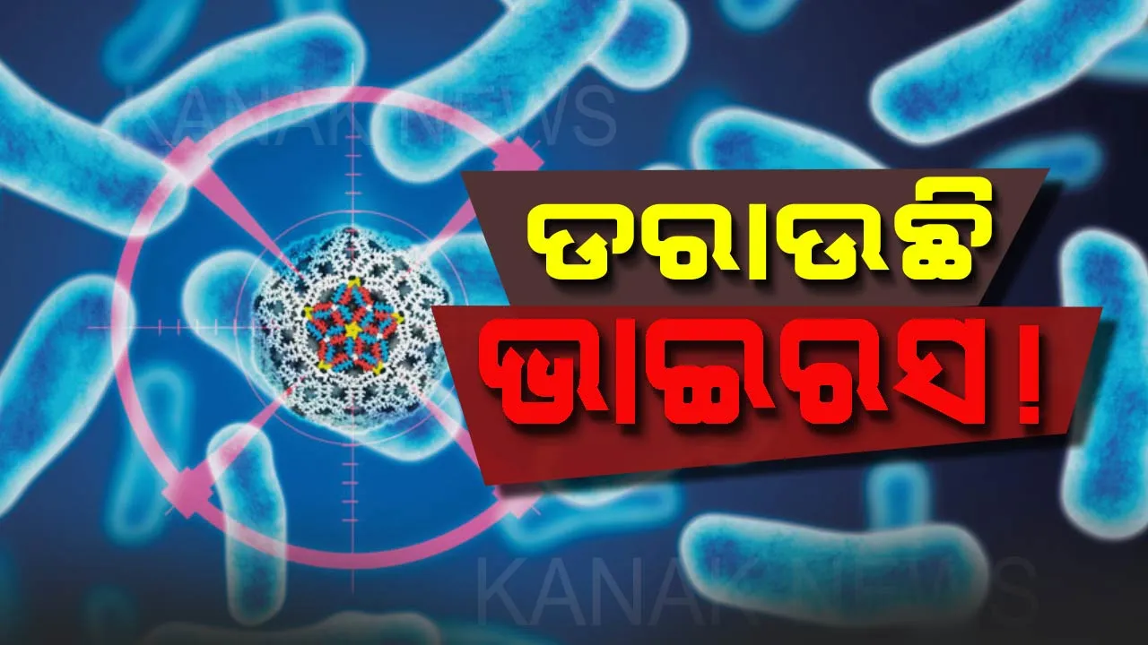  ସାବଧାନ: ବିଶ୍ୱବାସୀଙ୍କୁ ଆତଙ୍କିତ କରିଛି ଏହି ଭାଇରସ । ଆପଣ ମଧ୍ୟ ହୋଇପାରନ୍ତି ଏହାର ଶିକାର !