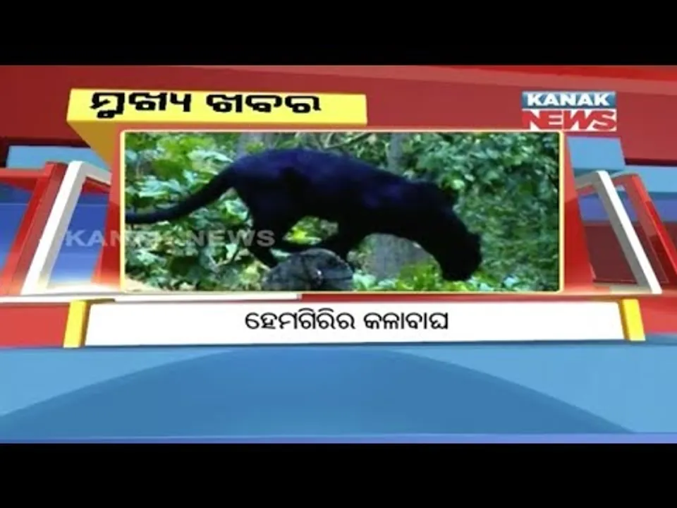  ପ୍ରାଇମ୍ ଟାଇମ୍ ବୁଲେଟିନ୍ : ୨୧/୦୫/୧୮