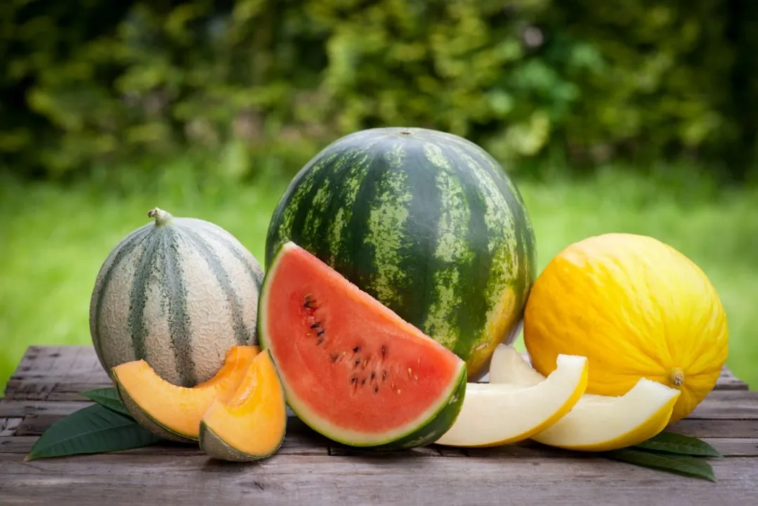  image courtesy - http://www.farmfreshfoods.com.sg 