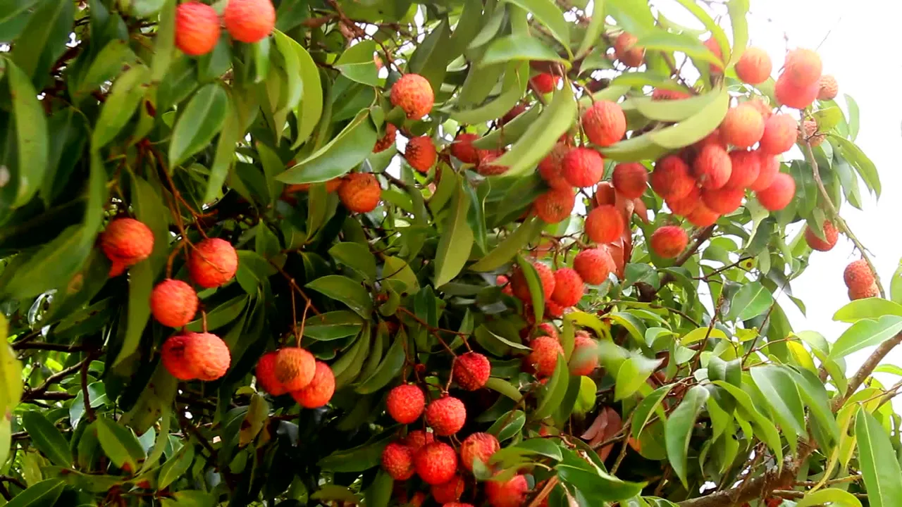  image courtesy-https://www.google.co.in/ 