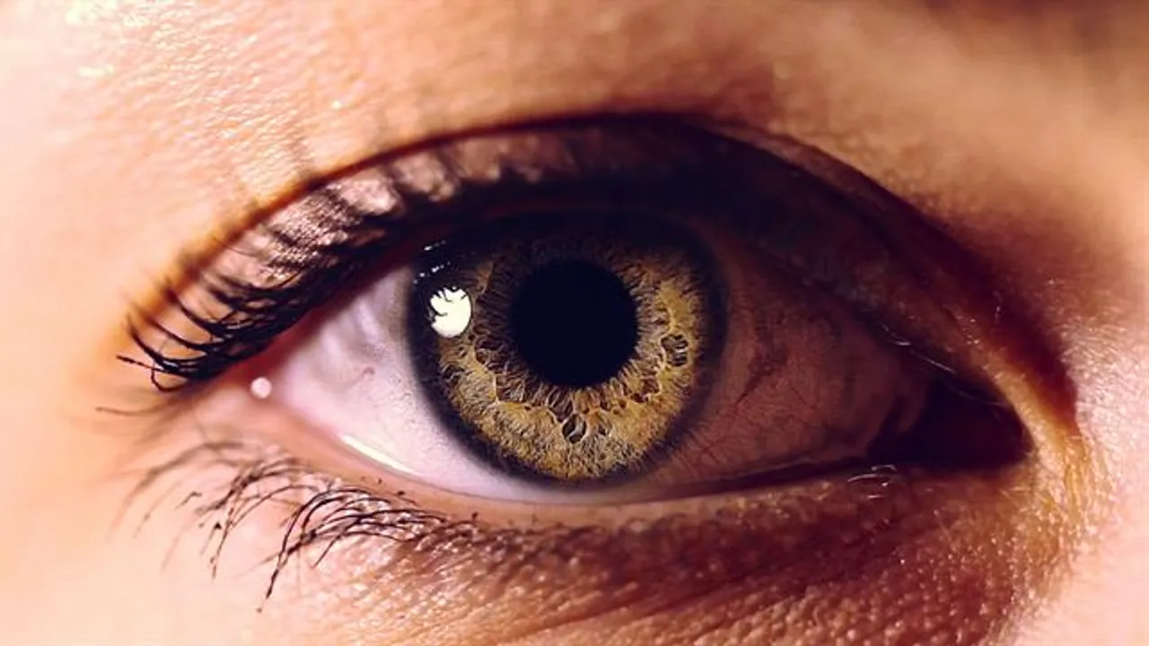  image courtesy - video.nationalgeographic.com 