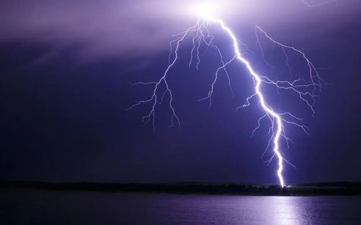  image courtesy-https://www.mnn.com 