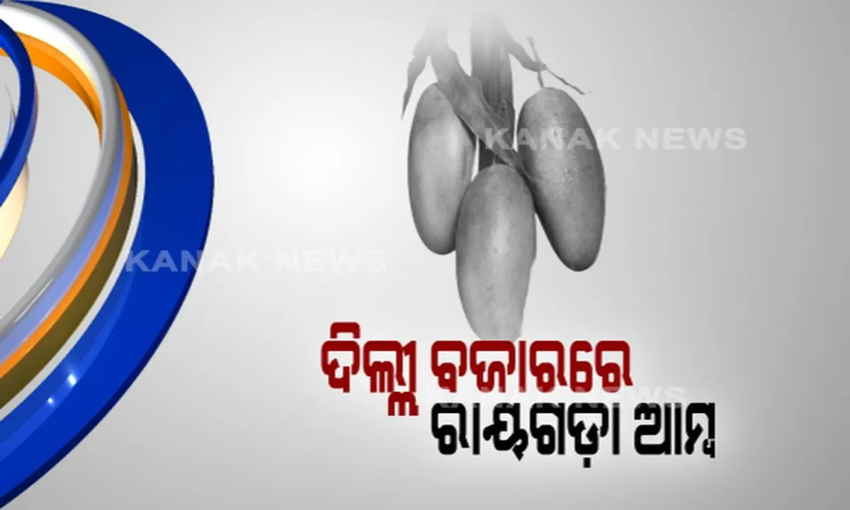  ଦିଲ୍ଲୀ ବଜାରରେ ଓଡିଶା ଆମ୍ବ : ରାୟଗଡାରୁ ଦିଲ୍ଲୀ ଓ ରାୟପୁର ଗଲା ୨୦୦ ମେଟ୍ରିକ ଟନର ବିଭିନ୍ନ କିସମ ଆମ୍ବ