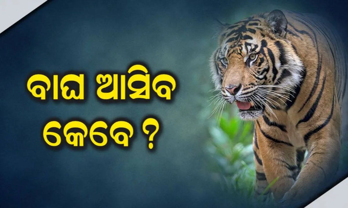  #WebExclusive ସାତକୋଶିଆକୁ ଆସିପାରୁନି ମହାବଳ । ରାଜ୍ୟ ଓ କେନ୍ଦ୍ରର ଗ୍ରୀନ ସିଗନାଲ ସତ୍ୱେ କାହିଁକି ଅଟକିଛି ସ୍ଥାନାନ୍ତରଣ?