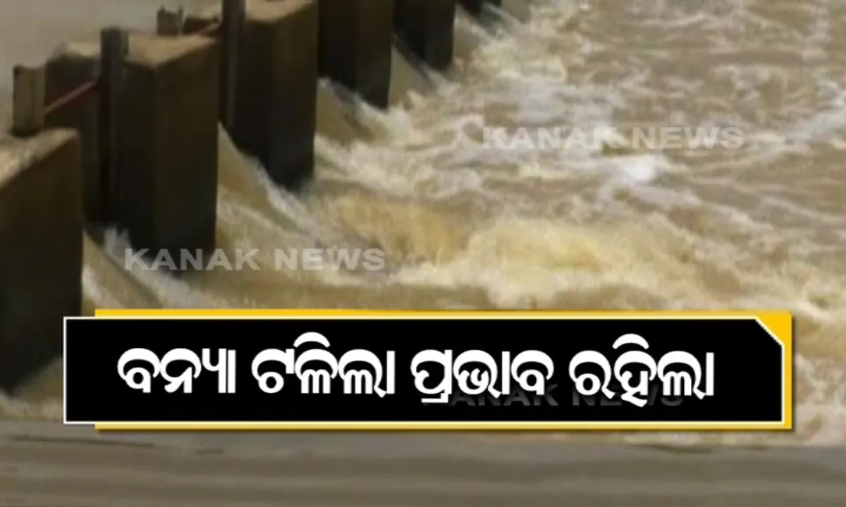  ଛାଡ଼ିଗଲା ବର୍ଷା ହେଲେ ପ୍ରଭାବ ରହିଗଲା : ପାଣି ଭିତରେ ବୁଡି ରହି ଉଜୁଛି ଯାଇଛି ପନିପରିବା ଚାଷ
