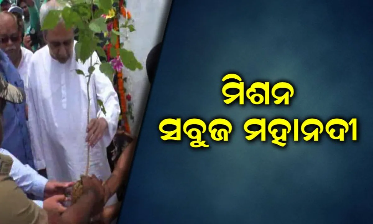  ବୃକ୍ଷରୋପଣ ସହ ସବୁଜ ମହାନଦୀ ରଥର ଶୁଭାରମ୍ଭ କଲେ ମୁଖ୍ୟମନ୍ତ୍ରୀ ! ଲାଗିବ ୫ କୋଟିରୁ ଅଧିକ ଗଛ, ଖର୍ଚ୍ଚ ହେବ ୫ ହଜାର କୋଟି ଟଙ୍କା ।
