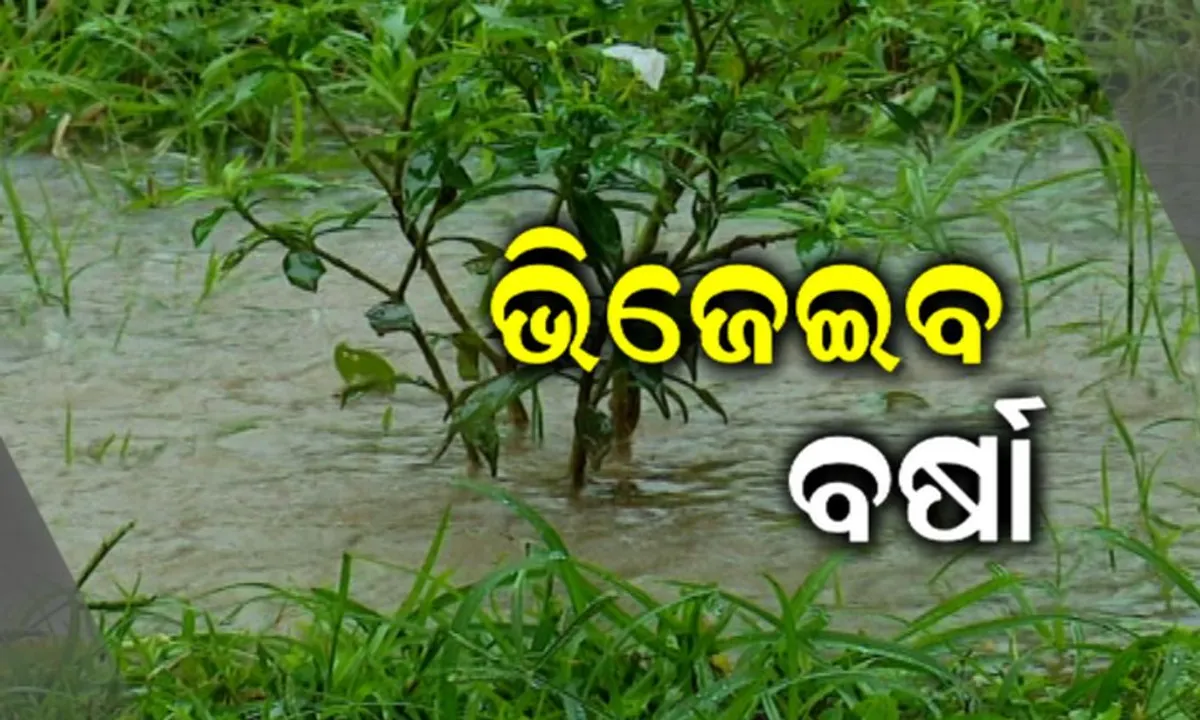  ଘନୀଭୂତ ହେଉଛି ଲଘୁଚାପ ! ୧୨ ଘଣ୍ଟା ମଧ୍ୟରେ ନେବ ଅବପାତର ରୂପ, ରାଜ୍ୟରେ ଆଜିଠୁ ଦୁଇ ଦିନ ଧରି ବର୍ଷା ।