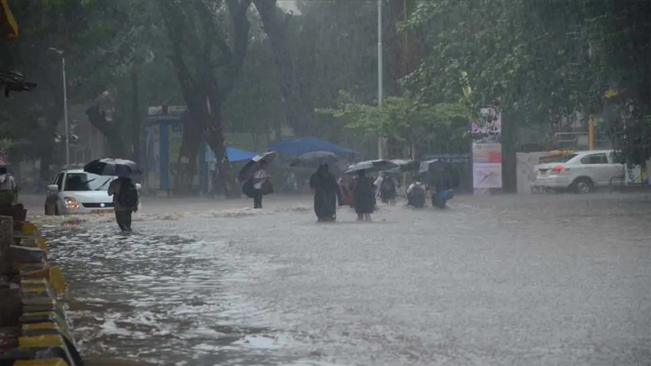  Image courtesy - sth.india.com 