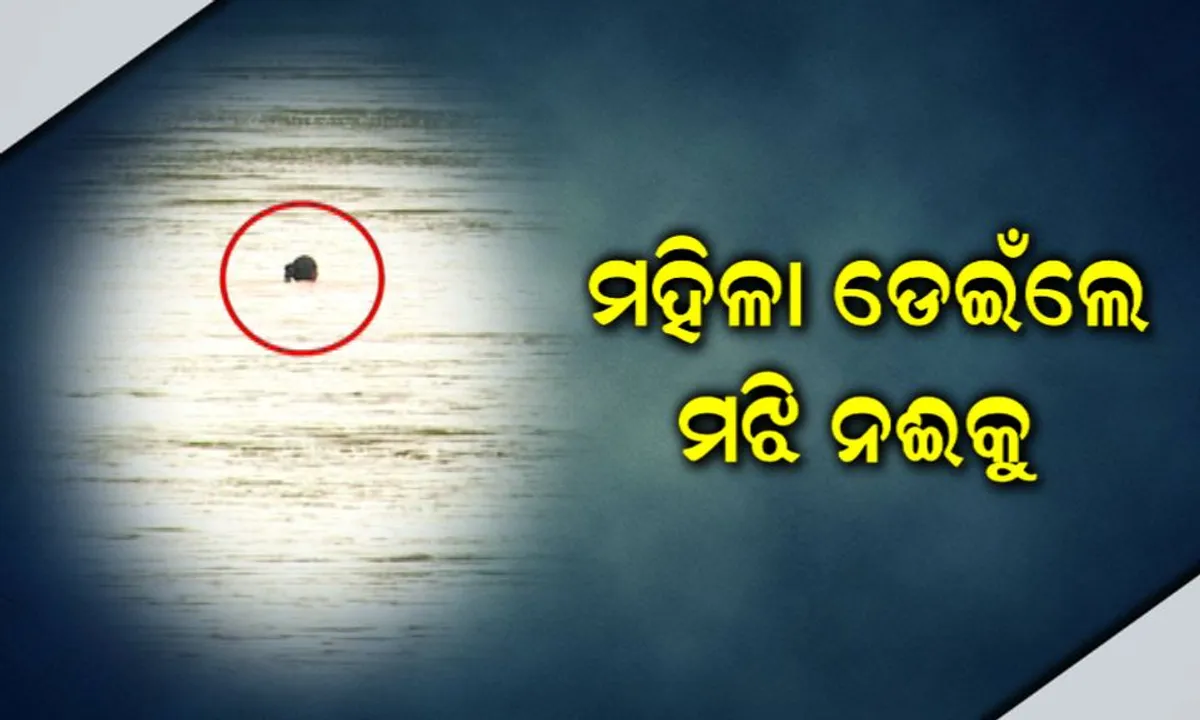  ଏପଟେ ଚାଲିଥିଲା ଉଦ୍ଧାର, ସେପଟେ ନଦୀକୁ ଡେଇଁ ପଡିଲେ ମହିଳା : ଆତ୍ମହତ୍ୟା ପାଇଁ କୁଆଖାଇକୁ ଡେଇଁପଡିଲେ ପୂର୍ବତନ ହୋମଗାର୍ଡ
