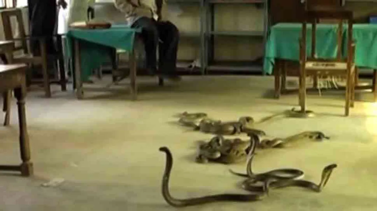  image courtesy - zeenews.india.com 