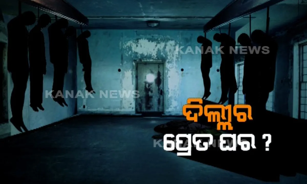  ଦିଲ୍ଲୀରେ ୧୧ ଜଣଙ୍କ ମୃତ୍ୟୁ ଘଟଣାରେ କାହାଣୀରେ ନୂଆ ମୋଡ଼ : ମୃତ ବ୍ୟକ୍ତିଙ୍କ ସହ ଭାଟିଆ ପରିବାର କଥାବାର୍ତ୍ତା କରୁଥିବା ନେଇ ଡାଇରୀରେ ଉଲ୍ଲେଖ