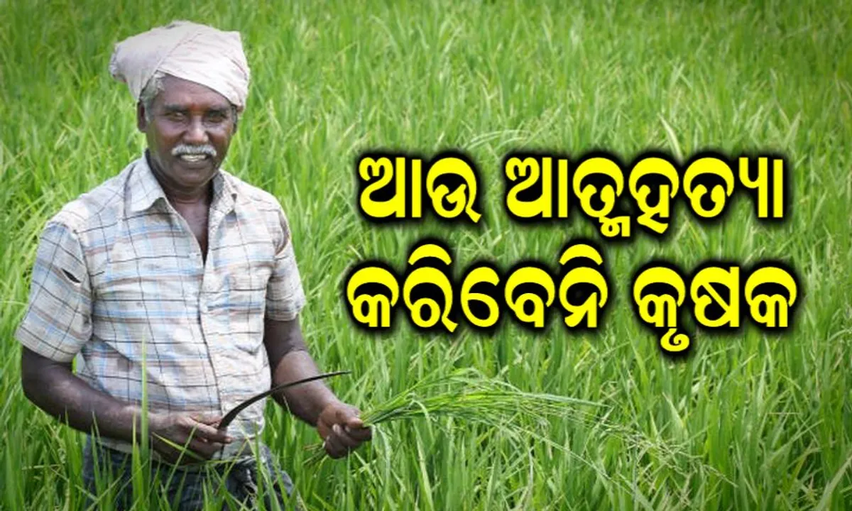  କୃଷକଙ୍କୁ ମୋଦି ସରକାର ବଡ଼ ଉପହାର : ବଢିପାରେ ଧାନର ସର୍ବନିମ୍ନ ସହାୟକ ମୂଲ୍ୟ