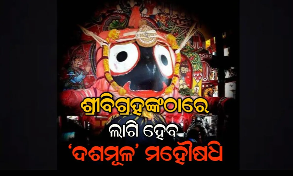  ଅସୁସ୍ଥ ଜଗାର ଚାଲିଛି ଚିକିତ୍ସା ! ଆଜି ମହାପ୍ରଭୁଙ୍କ ଚକାବିଜେ ନୀତି ପରେ କାଲି ଲାଗି ହେବ ଦଶମୂଳ ଔଷଧି, ଜାଣନ୍ତୁ ବୈଦ୍ୟରାଜଙ୍କ ଘରୁ ଆସୁଥିବା ଏହି ମହୌଷଧି କିଭଳି ହୋଇଥାଏ ପ୍ରସ୍ତୁତ