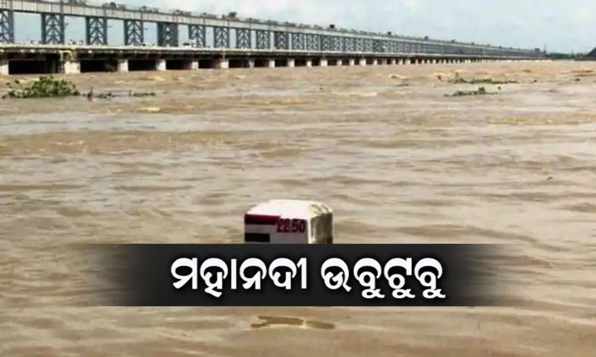  ଛତିଶଗଡ ଆଣିଲା ଓଡିଶାରେ ବନ୍ୟା ! ମହାନଦୀରେ ମାଡିଆସୁଛି ବନ୍ୟାଜଳ, ପାଣି ଘେରରେ ଅନେକ ଗାଁ ।