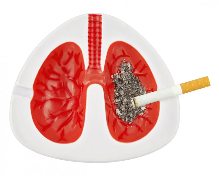  Image courtesy - www.medicalnewstoday.com 