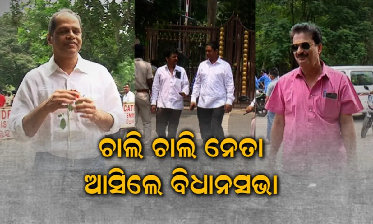  କଂଗ୍ରେସର ଭାରତ ବନ୍ଦ ଯୋଗୁଁ ଅଡୁଆରେ ପଡିଲେ ନେତା । କିଏ ଚାଲି ଚାଲି ତ ପୁଣି କିଏ ଦୁଇ ଚକିଆ ଯାନରେ ପହଞ୍ଚିଲେ ବିଧାନସଭା