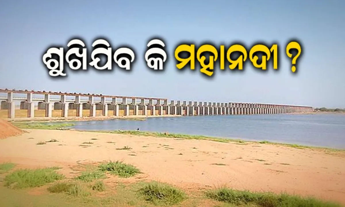  ବିପଦ ବଢ଼ାଇଲାଣି ଛତିଶଗଡ଼ । ମହାନଦୀରେ କମିଛି ଜଳ ପ୍ରବାହ