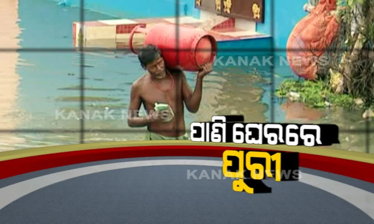  ପୁରୀରେ ବର୍ଷା ପାଣି ବଢାଇଲା ବିପଦ ! ୨ ମାସ ହେବ ଜଳବନ୍ଦୀ ଜୀବନ ବିତାଉଛନ୍ତି ଲୋକେ, ଡଙ୍ଗାରେ କରୁଛନ୍ତି ଯାତାୟତ ।