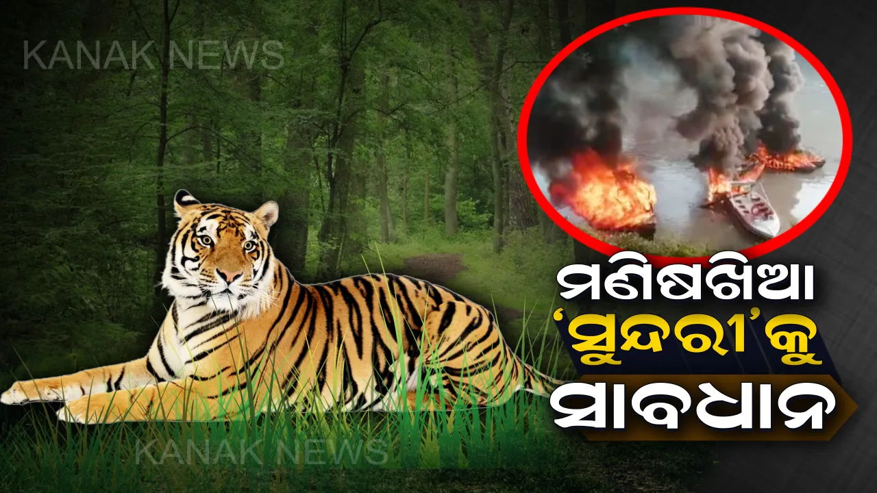  ସାତକୋଶିଆରେ ବାଘୁଣୀ ‘ସୁନ୍ଦରୀ’ର ମଣିଷ ଶିକାର ପରେ ସ୍ଥାନୀୟ ଅଞ୍ଚଳରେ ତୀବ୍ର ପ୍ରତିକ୍ରିୟା : ହାତୀବାରି ବିଟ୍ ହାଉସ ପୋଡିଲେ ଉତ୍ୟକ୍ତ ଲୋକ