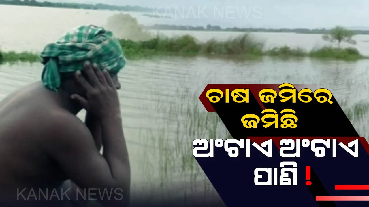  ମହାନଦୀ ବନ୍ୟାର ସାଇଡ ଇଫେକ୍ଟ : ବାଙ୍କୀର ତଳିଆ ଅଂଚଳଗୁଡିକରେ ଏବେ ବି ଛାଡୁନି ପାଣି, ଶହ ଶହ ହେକ୍ଟର ଜମିରେ ଫସଲ ନଷ୍ଟ