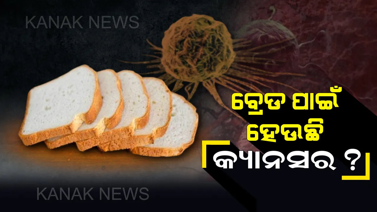  ସାବଧାନ! ପାଉଁରୁଟି ଖାଇଲେ ହୋଇପାରେ କ୍ୟାନସର, ଯାଂଚ ଦ୍ୱାରା ଫେଲ ମାରିଲା ଦେଶର ସମସ୍ତ ବ୍ରାଣ୍ଡେଡ କଂପାନୀର ବ୍ରେଡ