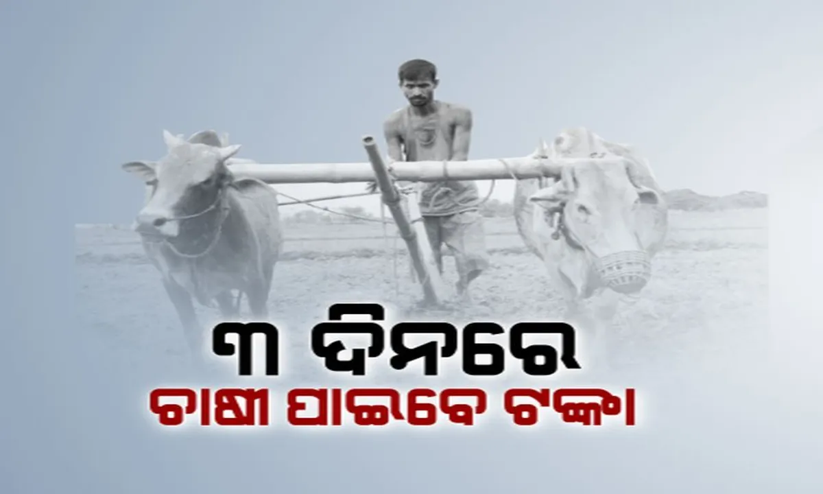  ଏଣିକି ମଣ୍ଡିରେ ଧାନ ବିକିବାର ତିନିଦିନ ଭିତରେ ଟଙ୍କା ପାଇବେ ଚାଷୀ : ପ୍ରସ୍ତାବକୁ ରାଜ୍ୟ କ୍ୟାବିନେଟରେ ଅନୁମୋଦନ