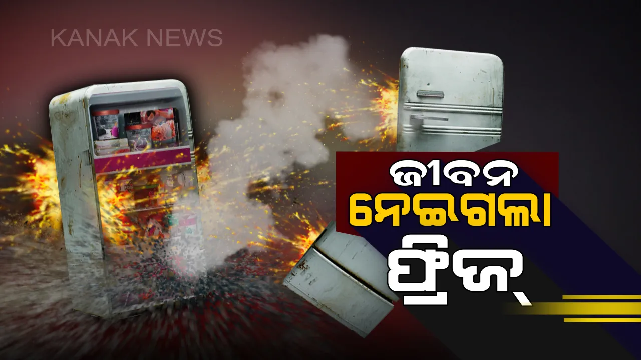  କାଳ ସାଜିଲା ଫ୍ରିଜ୍ ! ରେଫ୍ରିଜରେଟର ପାଇଁ ଚାଲିଗଲା ୪ ଜଣଙ୍କର ଜୀବନ,ତେବେ ଆପଣଙ୍କ ଫ୍ରିଜରେ ଦେଖା ଦେଉନି ତ ଏଭଳି କିଛି ପରିବର୍ତ୍ତନ