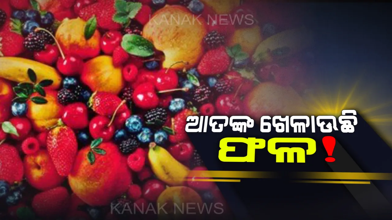  ଫଳରୁ ବାହାରୁଛି ଛୁଂଚି, ଆତଙ୍କରେ ଦେଶ । ଦୋଷୀ ଉପରେ ରଖାଗଲା ୫୧ ଲକ୍ଷର ପୁରସ୍କାର