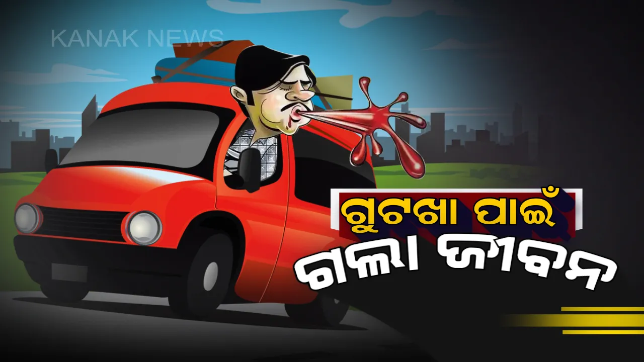  ମହଙ୍ଗା ପଡିଲା ଗୁଟଖା ଖାଇ ଛେପ ପକାଇବା  : ନିଜର ଅସାବଧାନତା ଯୋଗୁଁ ଚାଲିଗଲା ଚାଳକଙ୍କ ଜୀବନ