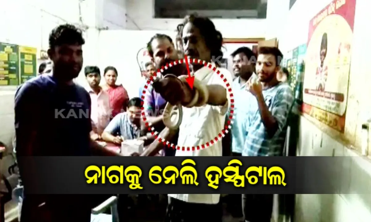  ନାଗ ଗଲା ଡାକ୍ତରଖାନା : ନାଗକୁ ଧରି ଡାକ୍ତରଖାନା ଗଲେ ସାପ କାମୁଡା ରୋଗୀ, ମେଡିକାଲରେ ଦେଖିବାକୁ ମିଳିଛି ଅଭାବନୀୟ ଘଟଣା