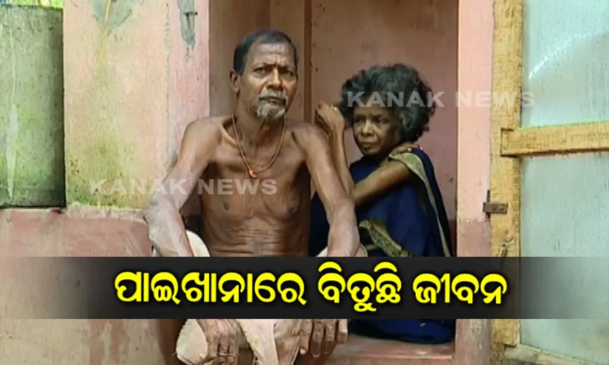  ଇଏ କେମିତିକା ସରକାରୀ ଯୋଜନା ! ଘର ନାହିଁ ପାଇଖାନା ଅଛି, ଖରାଦିନେ ଗଛମୂଳେ ଓ ବର୍ଷା ଦିନେ ପାଇଖାନାରେ ବିତୁଛି ବୃଦ୍ଧ ଦମ୍ପତିଙ୍କ ଜୀବନ ।